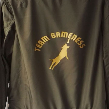 Logo flex doré gamenessshop